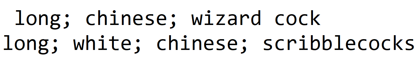 wizard